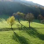 Moog *