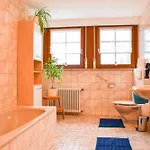 Moog Daire Steinach (Baden-Wurttemberg)