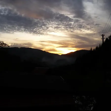 Moog * Steinach (Baden-Wurttemberg)