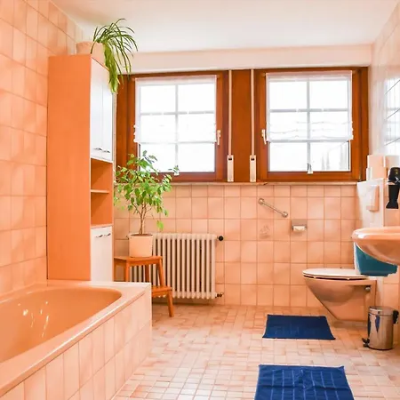 Moog Daire Steinach (Baden-Wurttemberg)