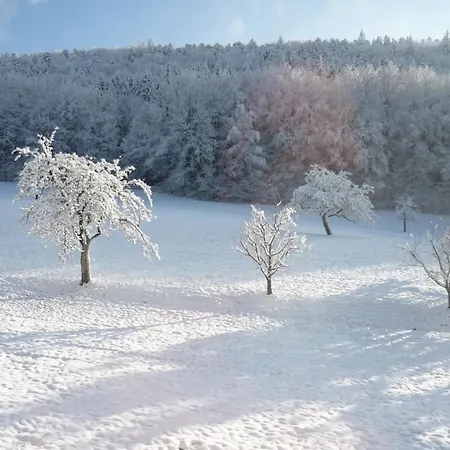 Moog Daire Steinach (Baden-Wurttemberg)