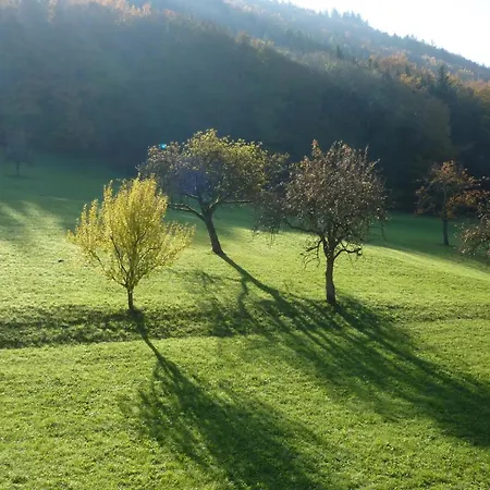 Daire Moog Steinach (Baden-Wurttemberg)