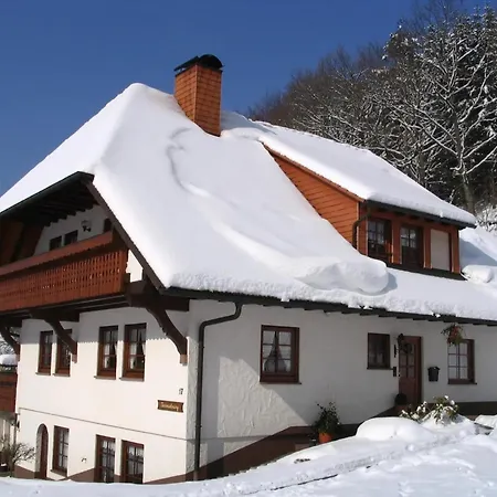 Apartmán Moog Steinach (Baden-Wurttemberg)