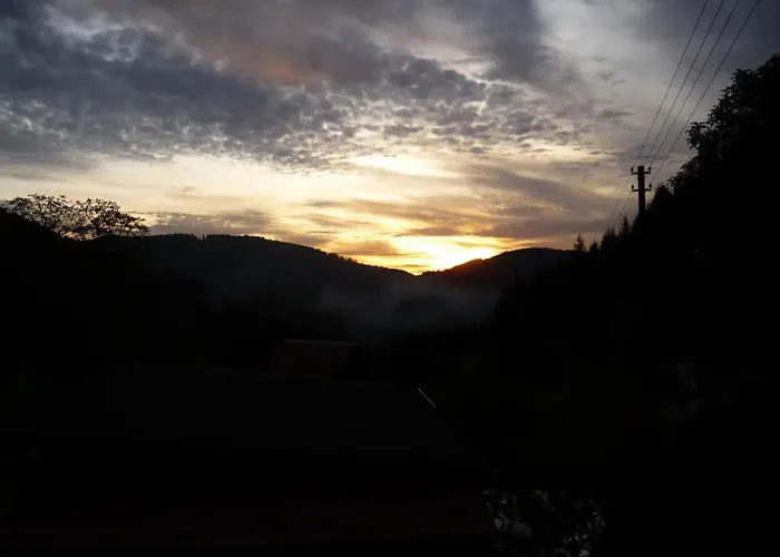 Moog * Steinach (Baden-Wurttemberg)