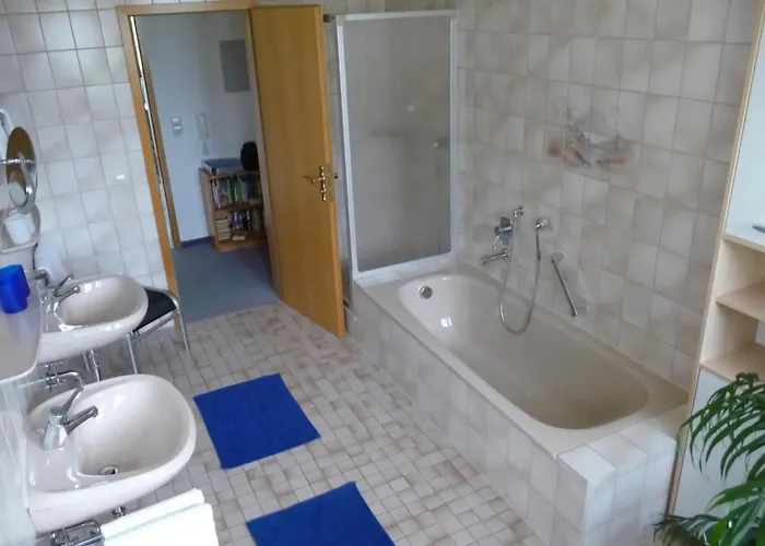 Moog Steinach (Baden-Wurttemberg)